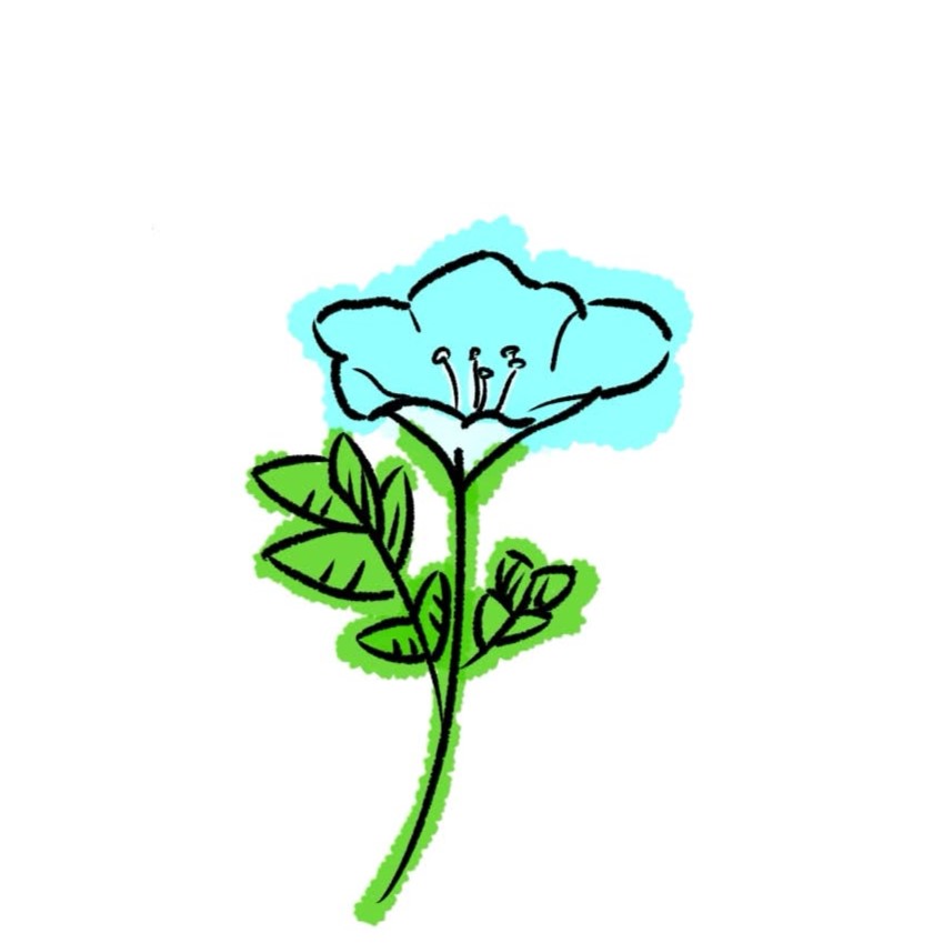 お花